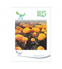 Marigold Yellow Iris F1 IHS-303 100 Seeds